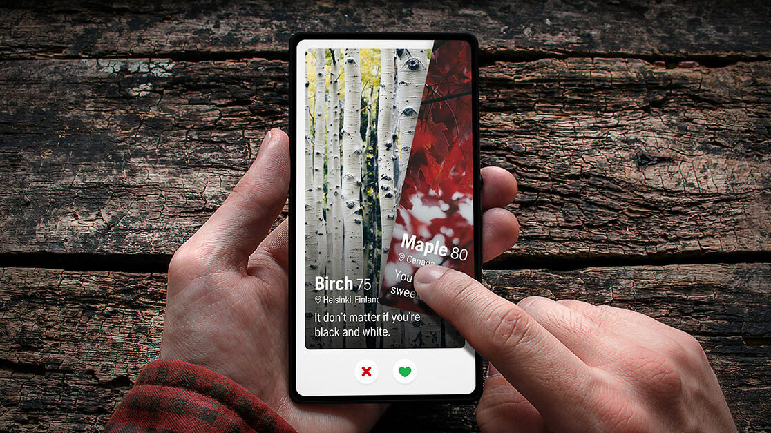 Hands holding a smartphone displaying a tree identification app, showing birch and maple details with a swipe selection feature.