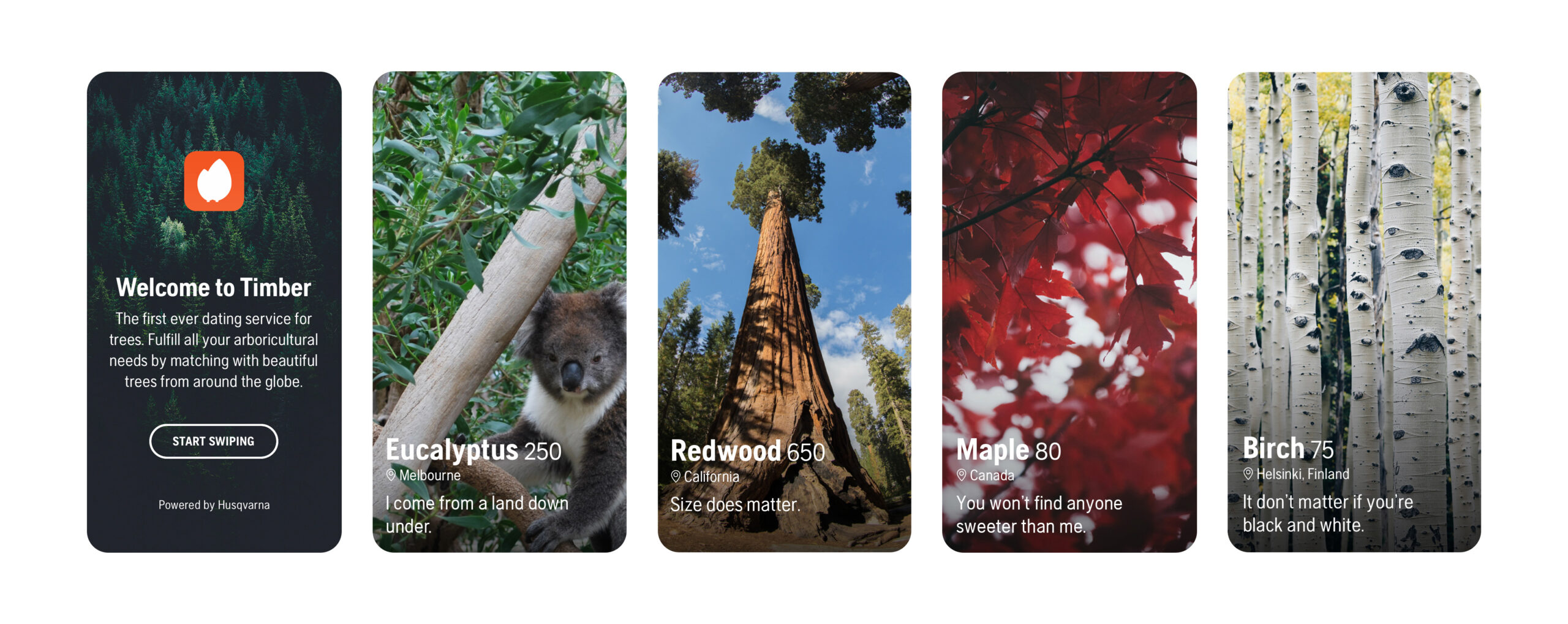Mockup of a tree dating app shows various tree profiles: eucalyptus, redwood, maple, and birch, each with humorous taglines.
